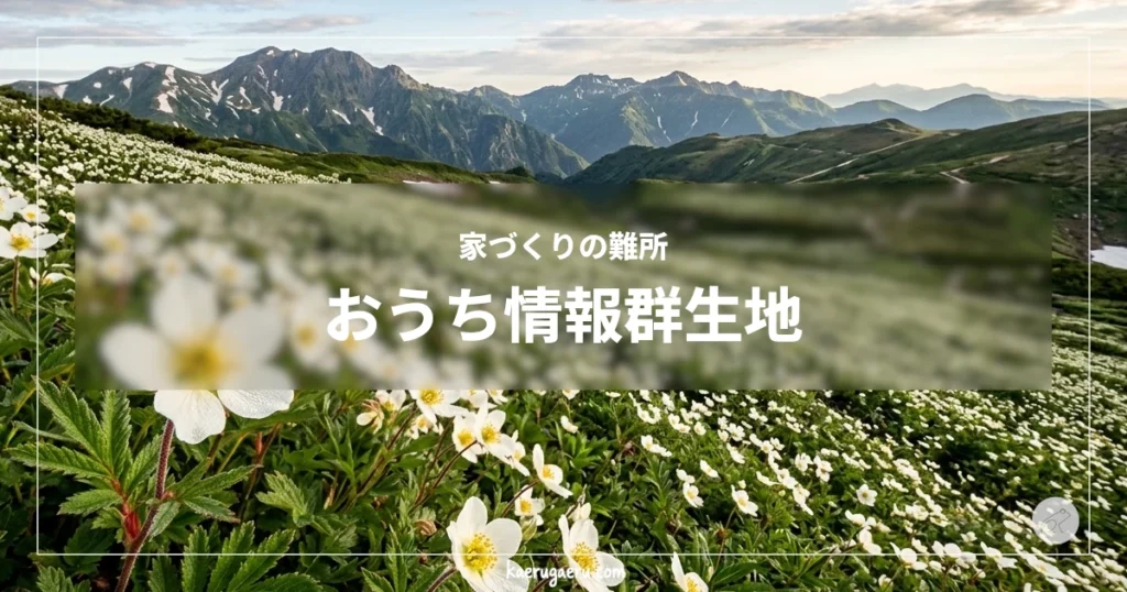 家づくりの難所 おうち情報群生地。残雪の残る山々を背景に、斜面一面に咲き誇る白いハクサンイチゲの群生。