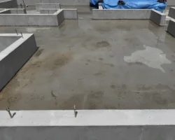 型枠がすべて撤去されたベタ基礎の全景。障害物のない広々としたコンクリートの面が、設計図通りの形で完成している。