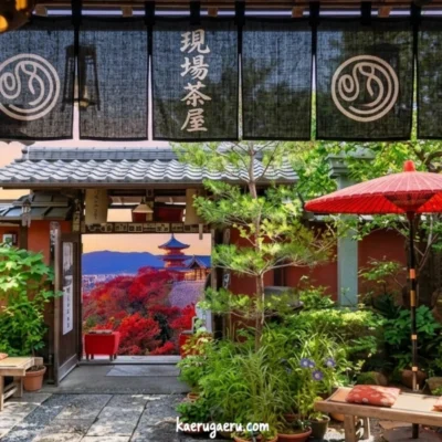 「現場茶屋」の暖簾越しに、赤い野点傘のある庭園と、門の先に紅葉と五重塔を望む風景。