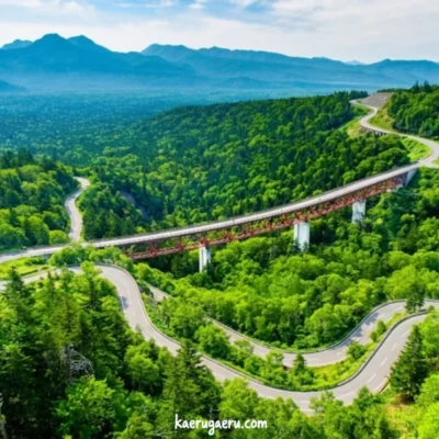 緑豊かな樹海を跨ぐ赤い大橋と、森の中を蛇行する峠道。背景には連なる山々が広がっている。