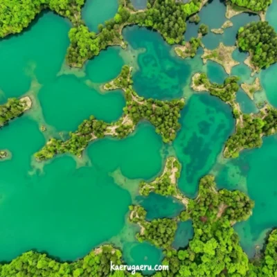 エメラルドグリーンの水面と緑豊かな木々が、上空から見ると入り組んで配置された沼。